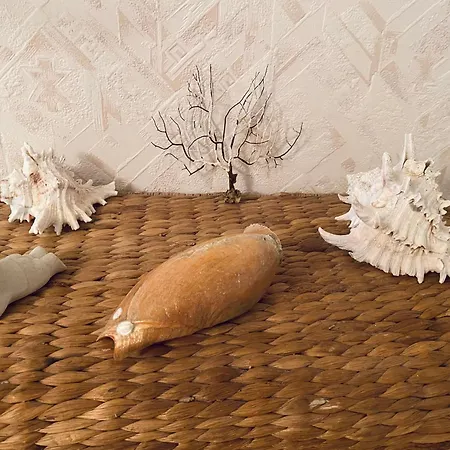 T3 Lumineux Avec Balcon, Garage Et Wi-fi - Et Commerces A Proximite - Fr-1-92-561 Διαμέρισμα *